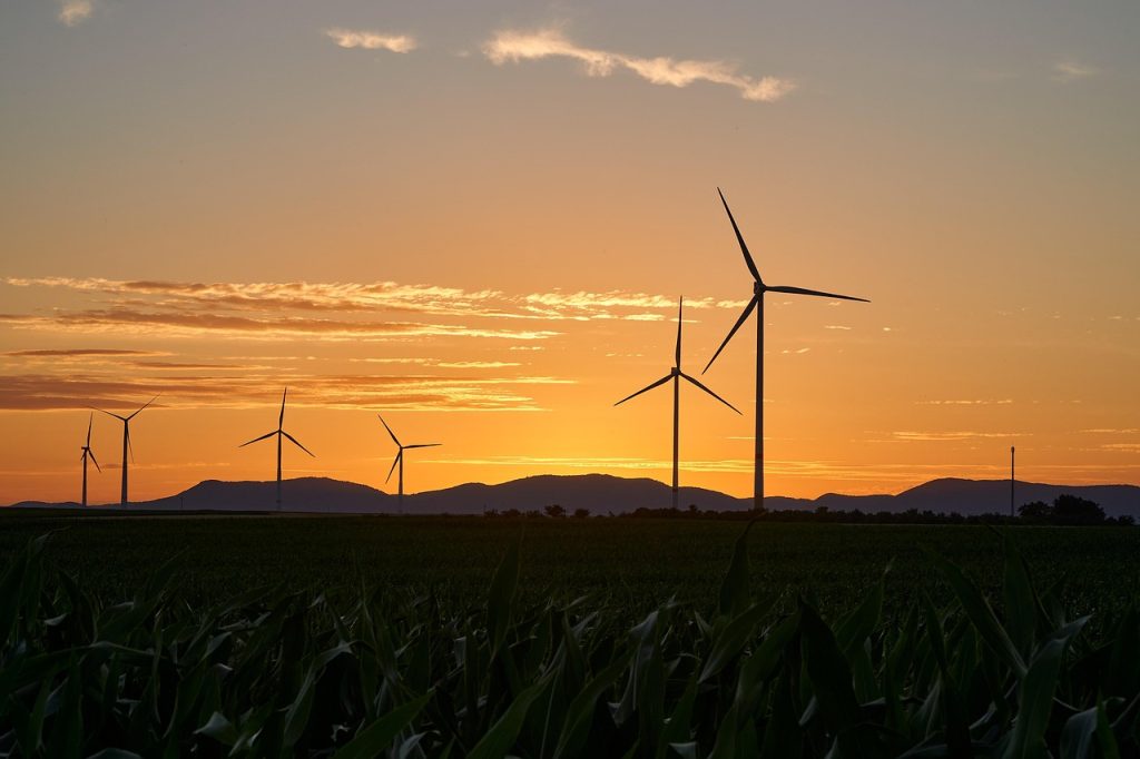 pinwheels, energy, electricity, nature, renewable, wind energy, sunset, wind farm, dusk, trees, landscape
