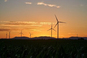 pinwheels, energy, electricity, nature, renewable, wind energy, sunset, wind farm, dusk, trees, landscape