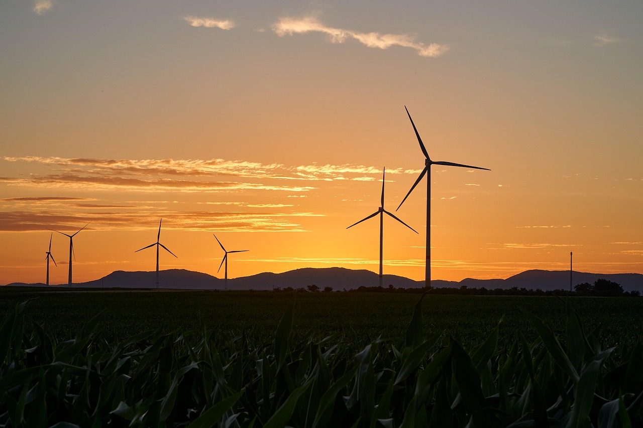 pinwheels, energy, electricity, nature, renewable, wind energy, sunset, wind farm, dusk, trees, landscape