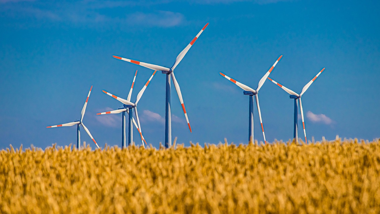 windmill, field, grain, wind energy, wind power, environment, landscape, nature, summer, electricity, wind turbine, agriculture, clouds, power generation, windmill, windmill, windmill, windmill, windmill, wind energy, wind energy, wind power, wind power, environment, environment, environment, electricity, wind turbine, wind turbine, wind turbine, wind turbine